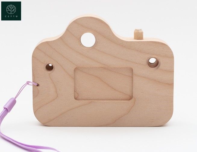 Cámara Fotográfica. ¡Alegría y entretenimiento!