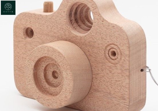 Cámara Fotográfica. ¡Alegría y entretenimiento!