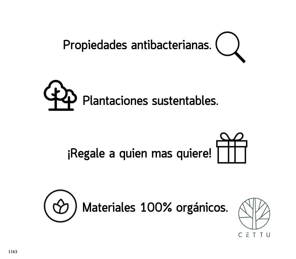 Baby Truck. ¡Educativo y divertido!