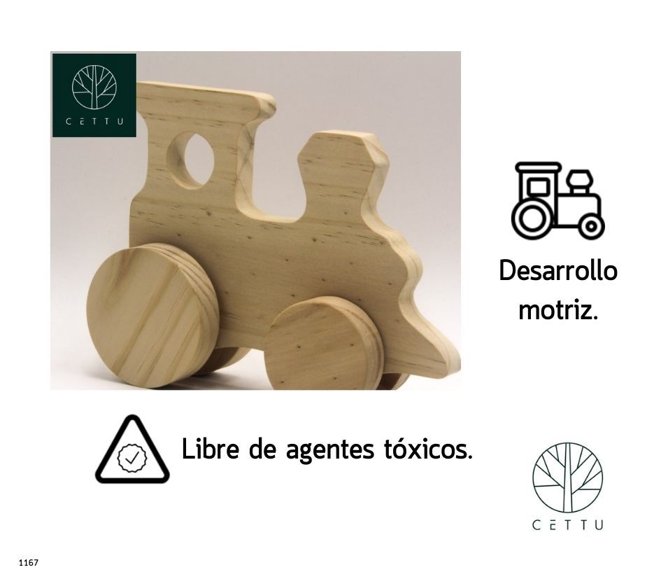 Locomotora, juguete didáctico. ¡Desarrollo motriz!